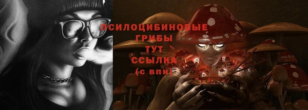 ГАЛЛЮЦИНОГЕННЫЕ ГРИБЫ Армянск