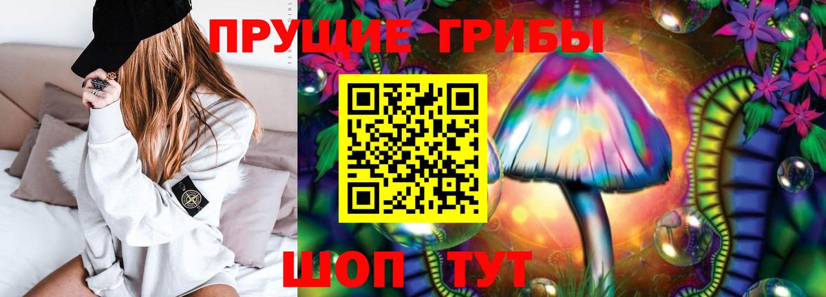 Галлюциногенные грибы Cubensis Новомосковск